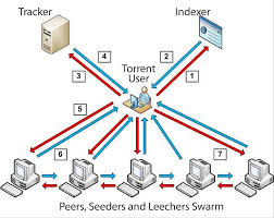 Membangun Torrent Seeder Server